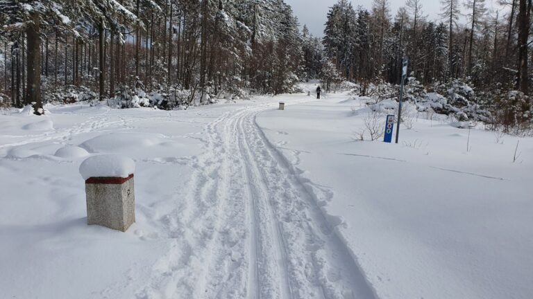 trasa narciarstwa biegowego, janowiczki