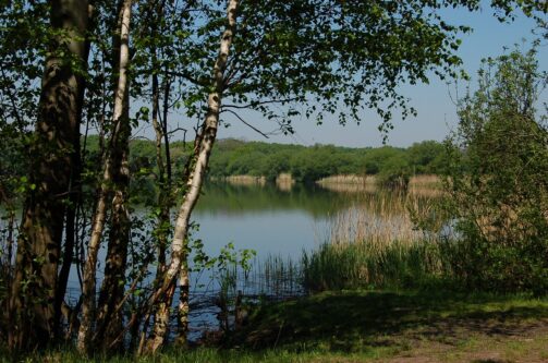 Rezerwat przyrody Łężczok